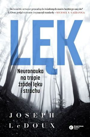 Lęk. Neuronauka Na Tropie Źródeł Lęku I Strachu