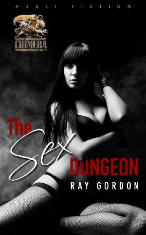 The Sex Dungeon