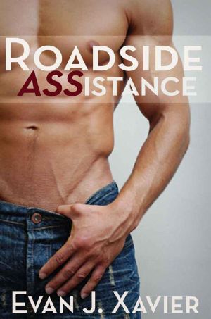 Roadside ASSistance (Gay Erotic Stories #2)