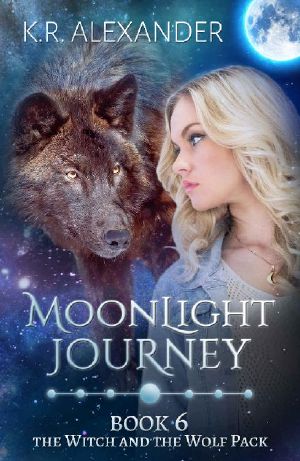 Moonlight Journey · A Reverse Harem Shifter Romance (The Witch and the Wolf Pack Book 6)