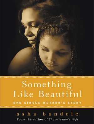 Something Like Beautiful · One Single Mother's Story