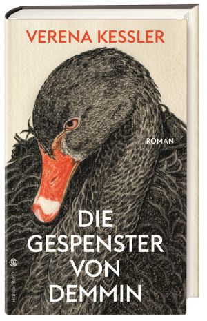 Die Gespenster von Demmin