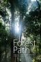 Forest Path