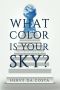 What Color Is Your Sky? · Seven Steps to Create a Future Beyond Your Dreams