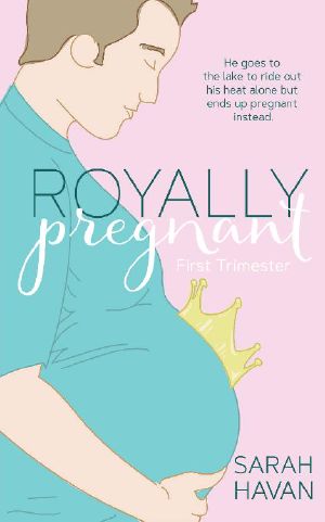 First Trimester: An Mpreg Romance