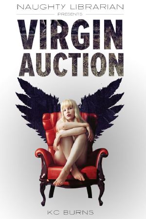 Naughty Librarian Presents · Virgin Auction