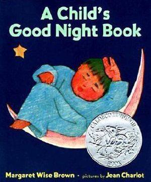 A Child's Good Night Book