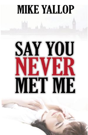 Say You Never Met Me