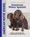 American Water Spaniel