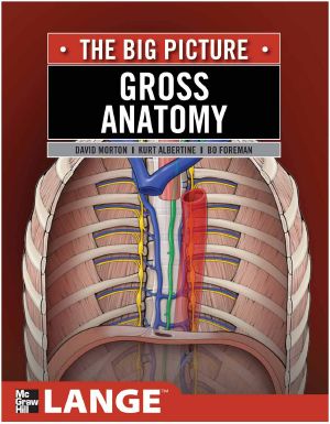 Gross Anatomy · the Big Picture