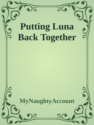 Putting Luna Back Together