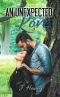 An Unexpected Love (Hudson Brothers PI Book 1)