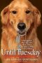 Until Tuesday · A Wounded Warrior and the Golden Retriever Who Saved Him