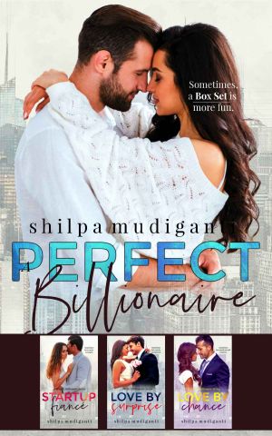 A Perfect Billionaire Box Set: Clean Contemporary Romance Box Set