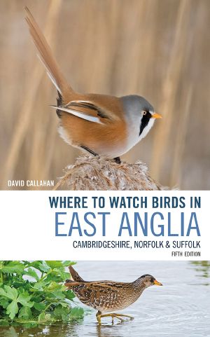 Where to Watch Birds in East Anglia