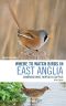 Where to Watch Birds in East Anglia