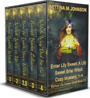 Enter Lily Sweet: Lily Sweet Mysteries Boxed Set 1 : Books 1-4 Lily Sweet Mysteries plus Book 2.5: a Lily Sweet Short - 5 books total