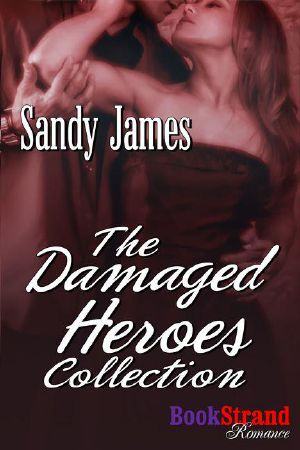 The Damaged Heroes Collection · Box Set #1