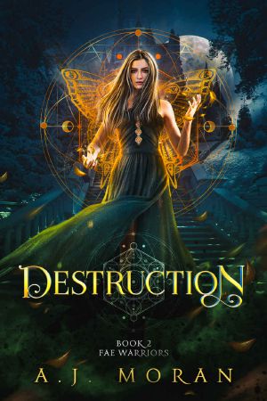 Destruction : Fae Warriors: Book 2 (Reverse Harem)