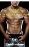 Seducing the Straight Husband 2