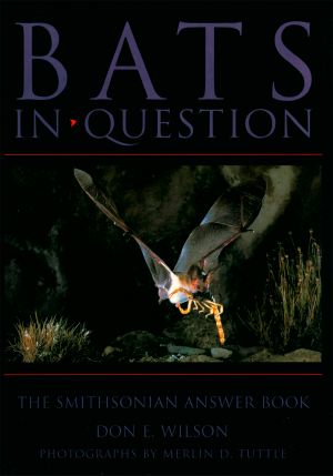 Bats in Question