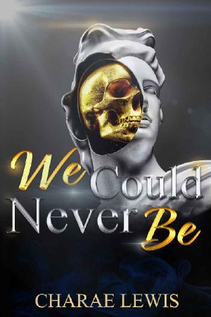 We Could Never Be (We Could Never Be series Book 1)