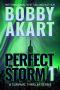 Perfect Storm 1: Post Apocalyptic Survival Thriller (Perfect Storm Series)