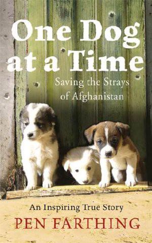 One Dog at a Time · Saving the Strays of Afghanistan