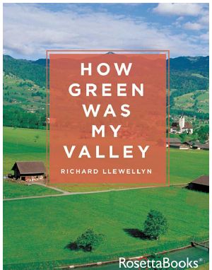 How Green Was My Valley