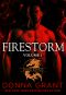 Firestorm · Volume 1