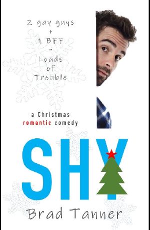 Shy · a Christmas romantic comedy