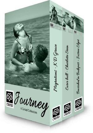 Journey · A Cariad Romance Three Book Bundle (Cariad Collections)