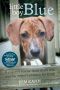 Little Boy Blue · A Puppy's Rescue From Death Row and His Owner's Journey for Truth