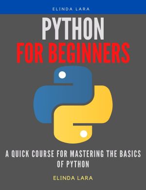 Python For Beginners · A Quick Course for Mastering the Basics of python