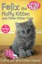 Felix the Fluffy Kitten and Other Kitten Tales