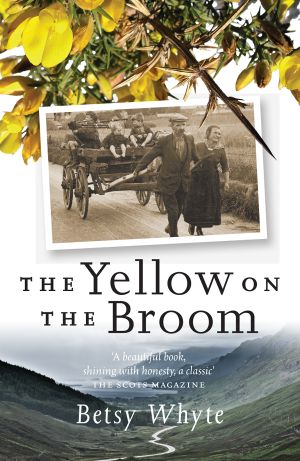 The Yellow on the Broom: The Early Days of a Traveller Woman