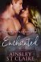 Enchanted · (Billionaire Venture Capitalist #8) · A Fake Fiancée Romance