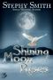 Shining Moon Rises