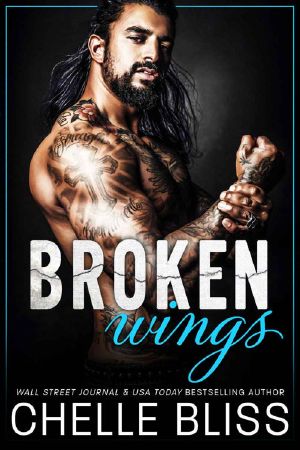 Broken Wings (Open Road Series Book 3)