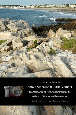 The Complete Guide to Sony's Alpha 6000 Digital Camera