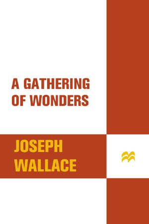 A Gathering of Wonders