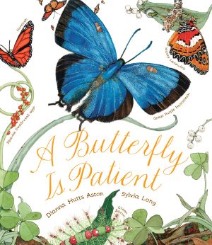 A Butterfly Is Patient