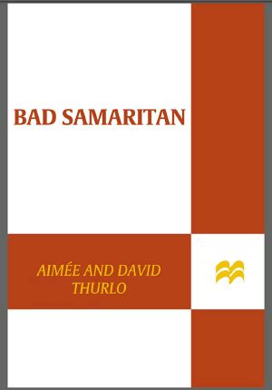 Bad Samaritan