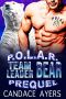 Team Leader Bear: Shifter Romance