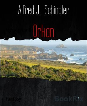 Orkan · Mysterythriller (German Edition)