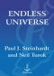 Endless Universe · Beyond the Big Bang