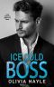 Ice Cold Boss (A Paradise Shores Standalone Book 2)