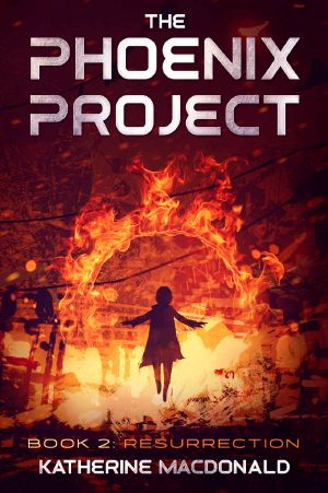 The Phoenix Project · Book 2 · Resurrection