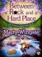 Between a Rock and a Hard Place: A Potting Shed Mystery (Potting Shed Mystery series Book 3)