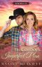 The Cowboy's Imperfect Plan (Faking It Book 1)